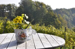 Maak van een kleine achtertuin een fijne plek met slimme ideeën