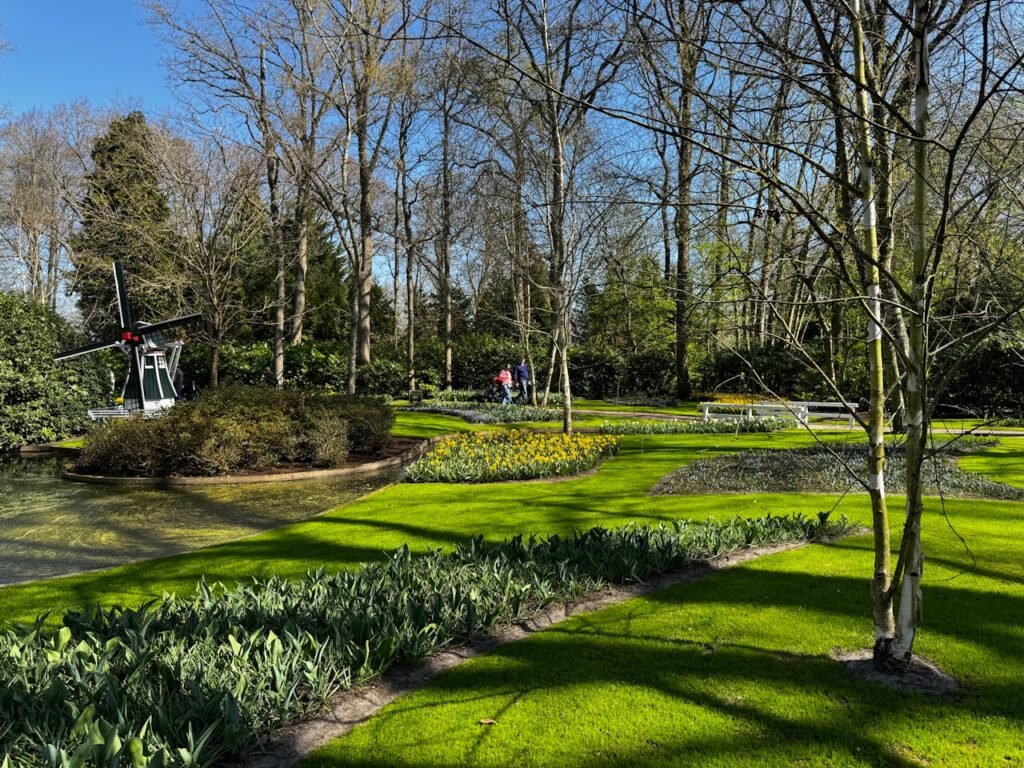 Tuin aangepakt? Zo raak je al je groenafval kwijt