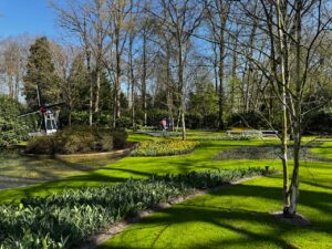 Tuin aangepakt? Zo raak je al je groenafval kwijt