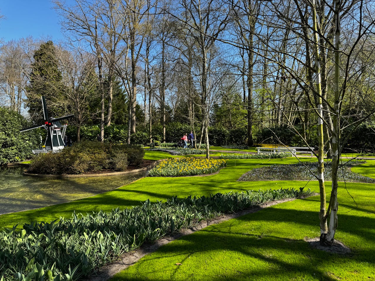 Tuin aangepakt? Zo raak je al je groenafval kwijt