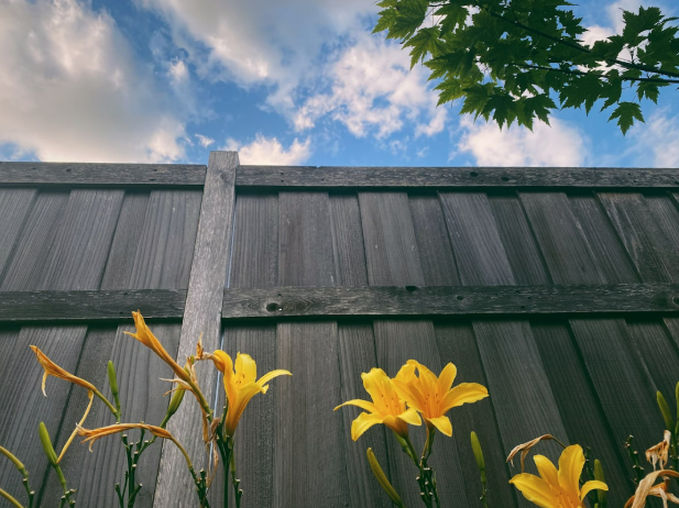 Je tuin klaarmaken voor het tuinseizoen: zo pak je het aan