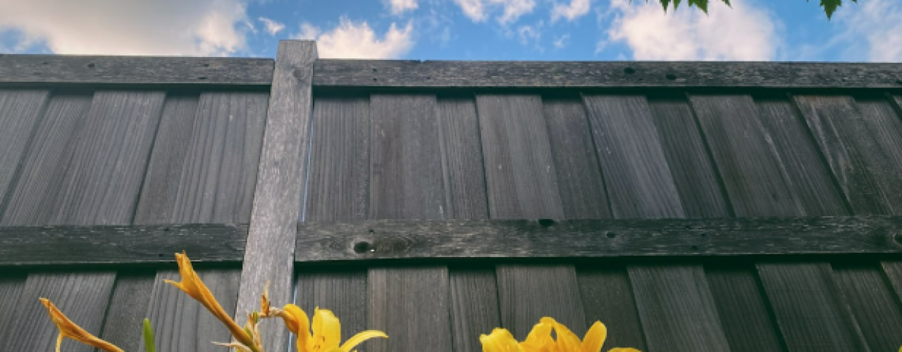Je tuin klaarmaken voor het tuinseizoen: zo pak je het aan