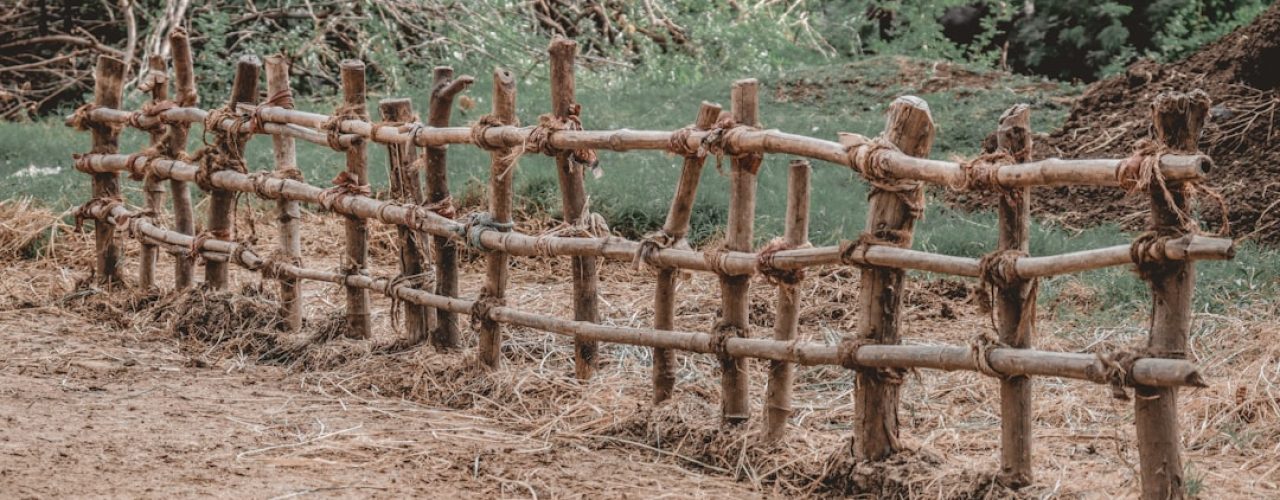Groen verbindt: samen de buurt mooier maken met sociaal tuinieren