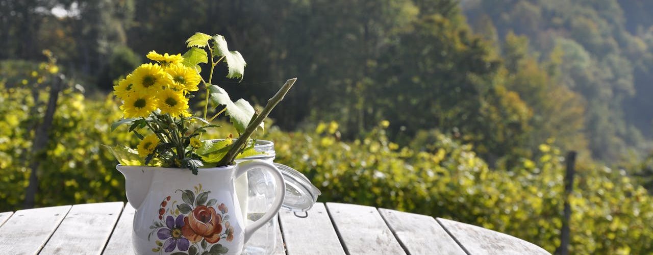 Maak van een kleine achtertuin een fijne plek met slimme ideeën Maak van een kleine achtertuin een fijne plek met slimme ideeën