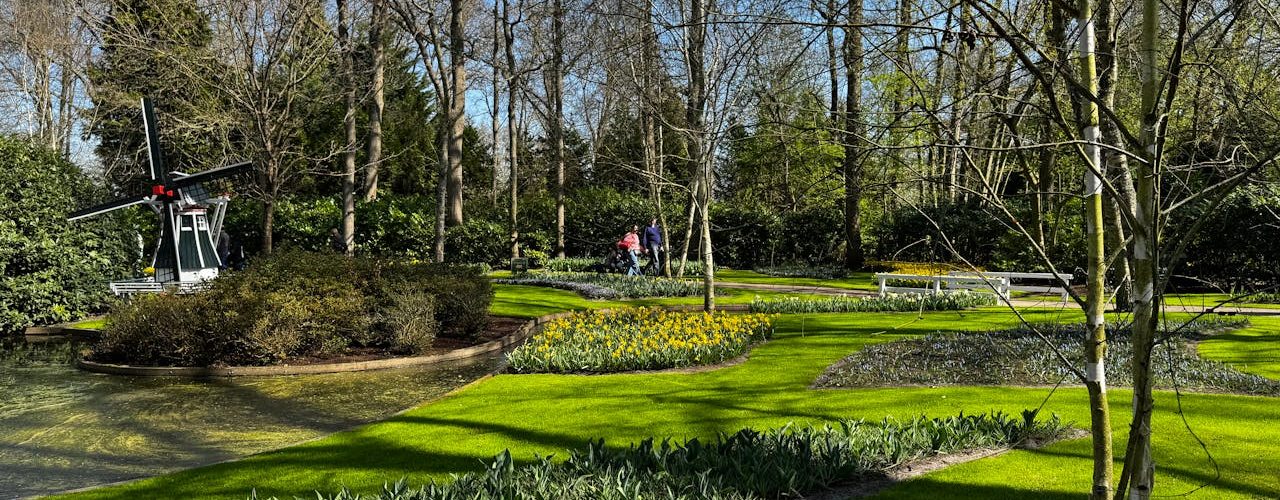 Tuin aangepakt? Zo raak je al je groenafval kwijt